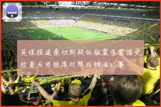 英媒报道桑切斯疑似脑震荡需接受检查或将缺席对阵利物浦比赛