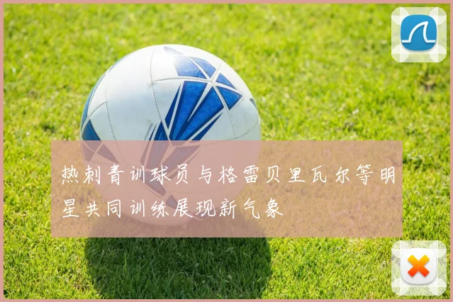 热刺青训球员与格雷贝里瓦尔等明星共同训练展现新气象
